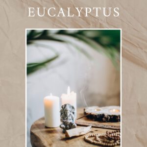 Eucalyptus wierook