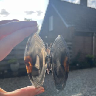 Agaat Vlinder Zwart #71