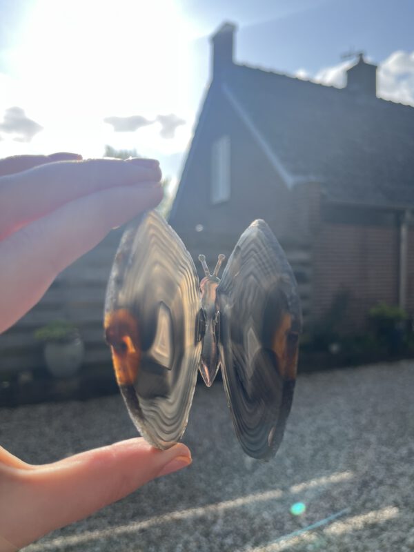 Agaat Vlinder Zwart #71