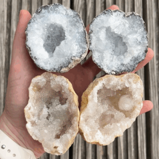Geodes kraken