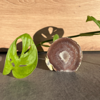 Agaat standvlak, agaat werkt aardend, stabiliserend en beschermend. De steen werkt kalmerend, laat je veilig voelen en zorgt voor zowel geestelijke balans.