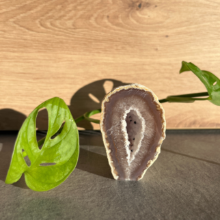 Agaat standvlak, agaat werkt aardend, stabiliserend en beschermend. De steen werkt kalmerend, laat je veilig voelen en zorgt voor zowel geestelijke balans.