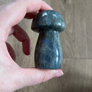 Labradoriet in de vorm van een paddestoel. Labradoriet werkt beschermend en vergroot geestelijke kracht.