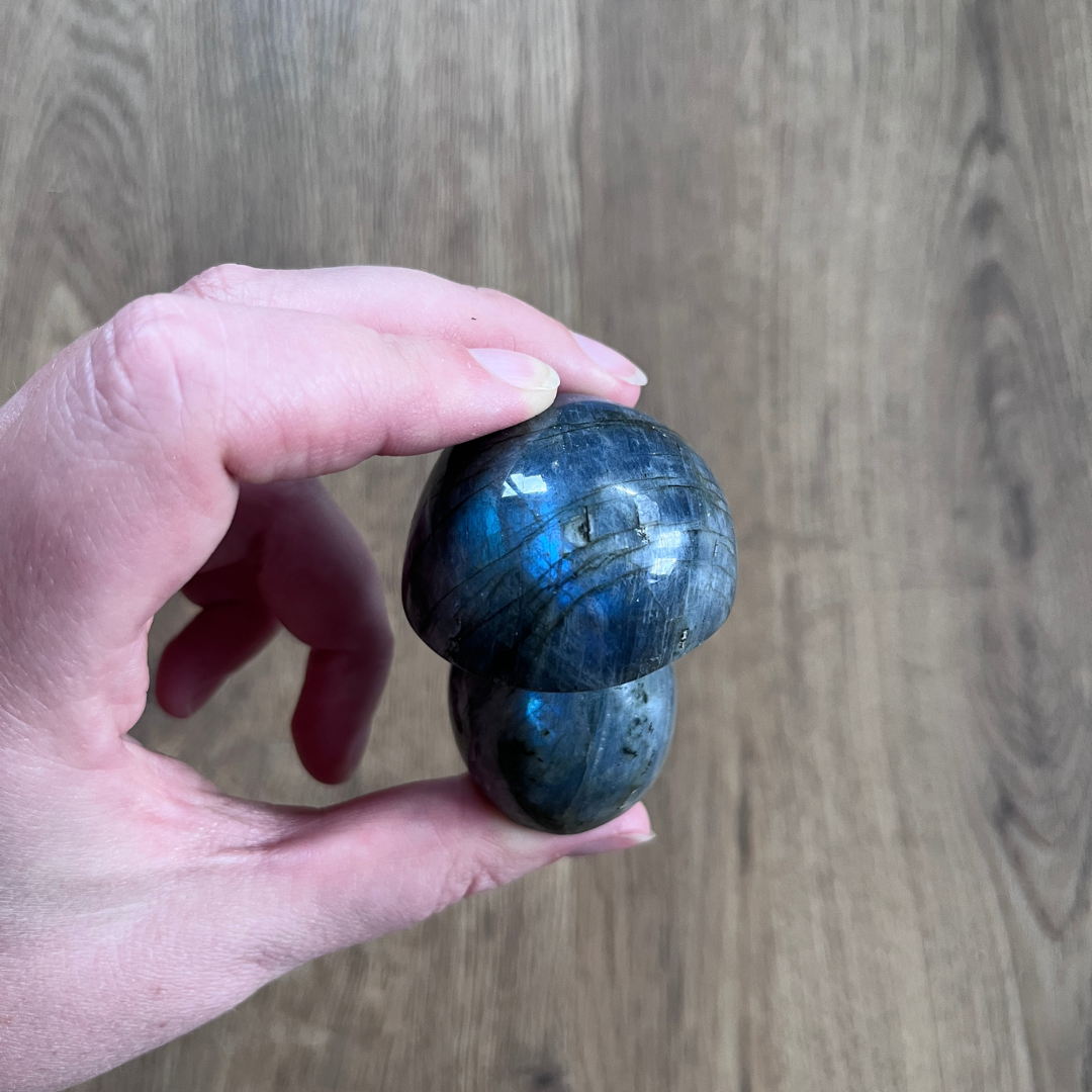 Labradoriet in de vorm van een paddestoel. Labradoriet werkt beschermend en vergroot geestelijke kracht.