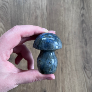 Labradoriet in de vorm van een paddestoel. Labradoriet werkt beschermend en vergroot geestelijke kracht.